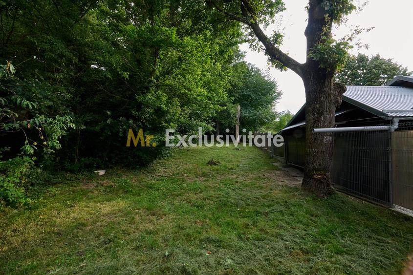 Casă rară în Găvana | Vecină cu pădurea, aproape de toate facilitățile
