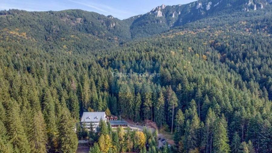 Cascada Hotel for sale, 24 Rooms, Durău Resort, Neamț - 7