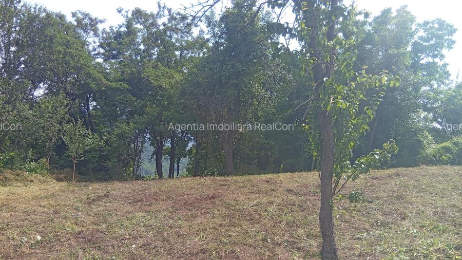 Casă bătrânească plus teren 9515 mp. Sălătrucel sat Serbănesti - 7