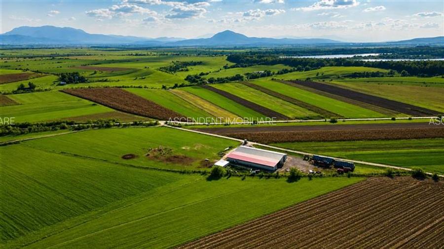FILM! 18.000 mp, extravilan, agricol+ constructii:ferma,investitii agricole, Rot - 4
