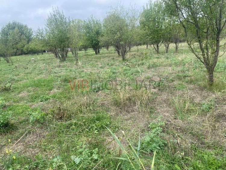 Ferma zootehnica mixta de VANZARE SAU INCHIRIAT in judetul Vrancea