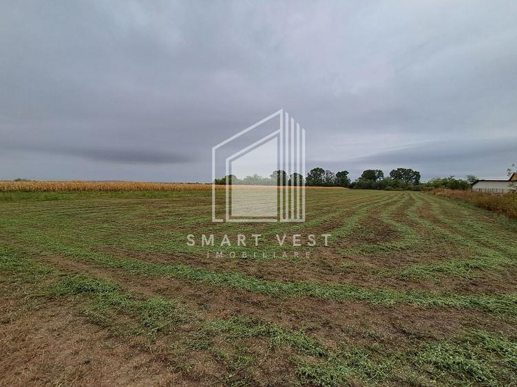 Teren intravilan | 37 arii | Zona Madaras