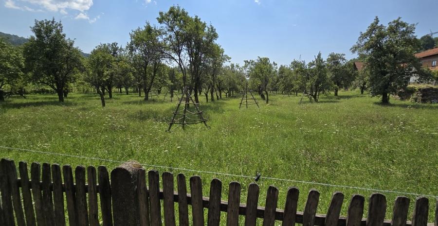 Teren intravilan 8.000 mp, Arefu – Transfăgărășan | livadă, teren plat
