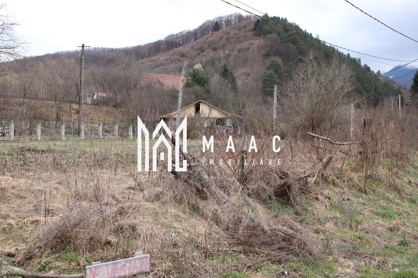 Teren Sebesul de Sus I 1100 mp I facilitati in apropiere