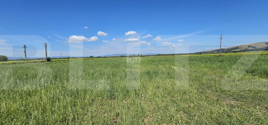 Teren agricol, 7 hectare, zona Ozun - 3