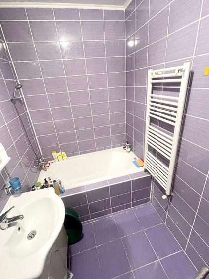 Apartament 1 camera Mircea Zaciu parter inalt mobilat utilat