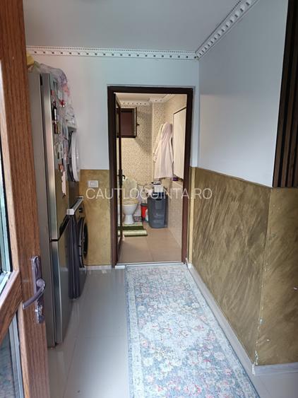 casa curte/ 3 camere/Andronache/zona linistita/sector 2 - 13