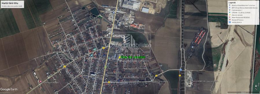 Nicolae Bălcescu-hală 1.100 mp-producție sau depozitare-teren 3.084 mp-acces TIR - 4