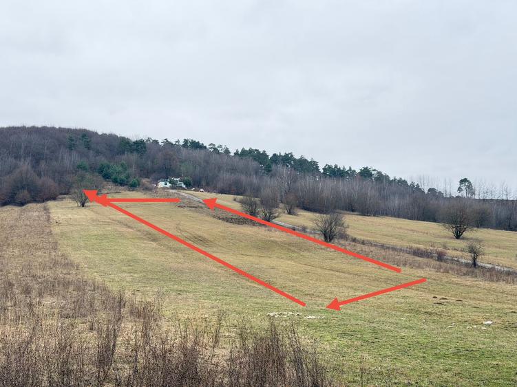 Teren extravilan 1500 mp de vânzare în Teliu – zonă liniștită