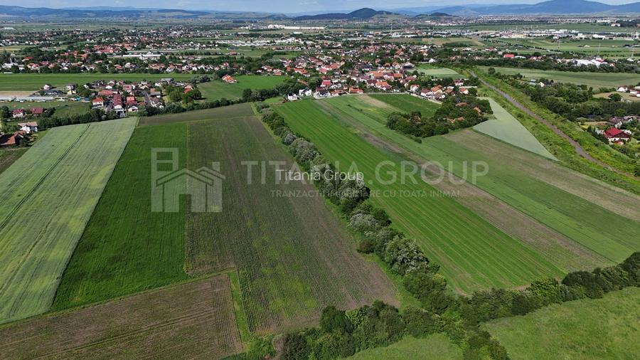 Teren intravilan 3h, Stupini -Str. Oitelor, asfalt si utilitati la 70 m - 4