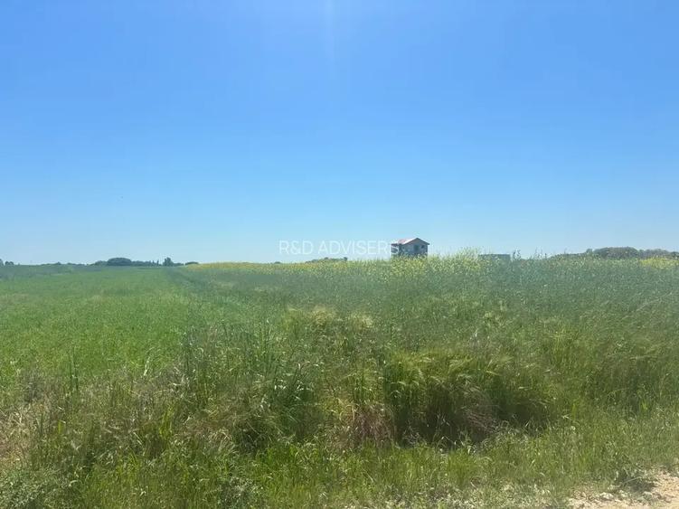 Loturi teren 500 m P+1+M Berceni - Vidra Actele la zi Puz valabil - 6
