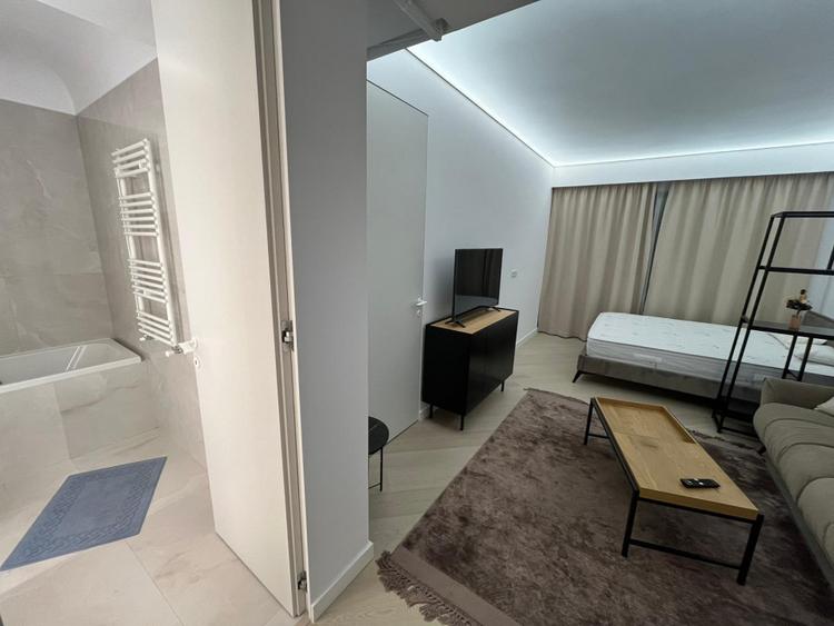 Studio Cortina North Aviatiei Pipera Mobilat Rovere