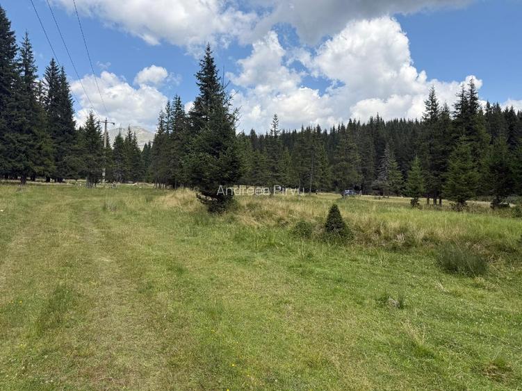 Teren Intravilan cu PUZ in zona Padina/Pestera