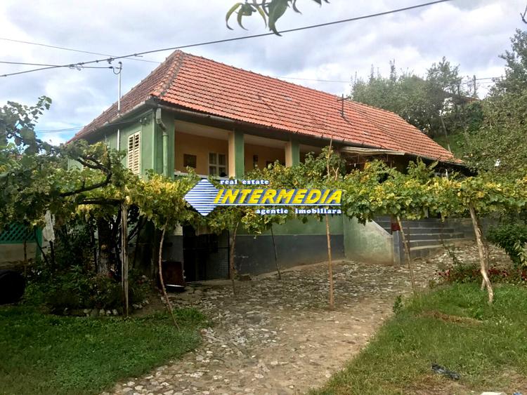 OKAZIE! Casa in Cricau 3 Camere 1300 mp. Curte Teren Fantana Utilitati Asfalt