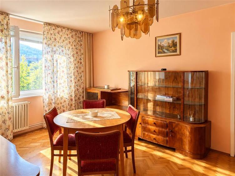 Pet friendly! Apartament doua camere, Bulevardul Victoriei, Brasov