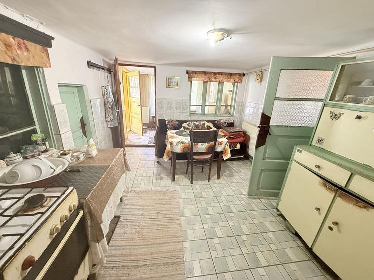 Casa interbelică cu arhitectură deosebită+Anexa și teren 1570 mp