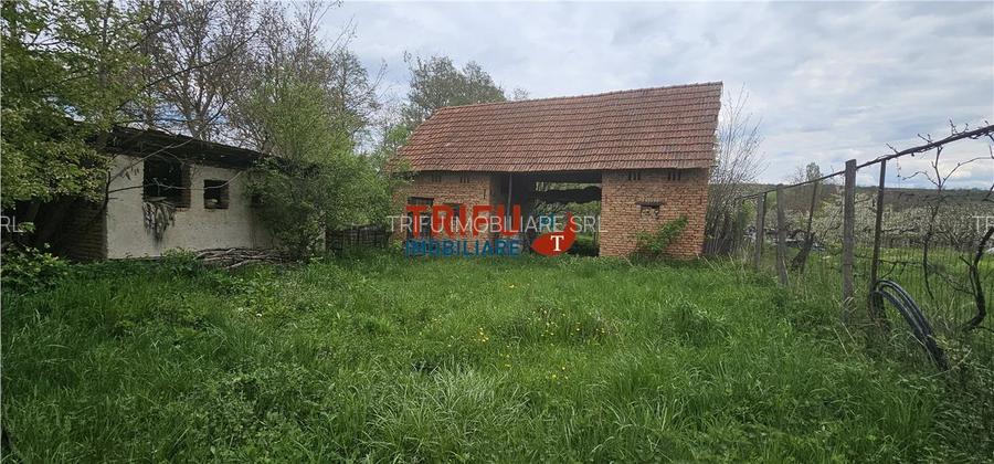 Casă veche + teren 3100 mp | Galda de Jos | Acces râu - 7
