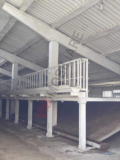 *Fermă modernă export miei | 6 ha | Standarde europene ,Brăila*