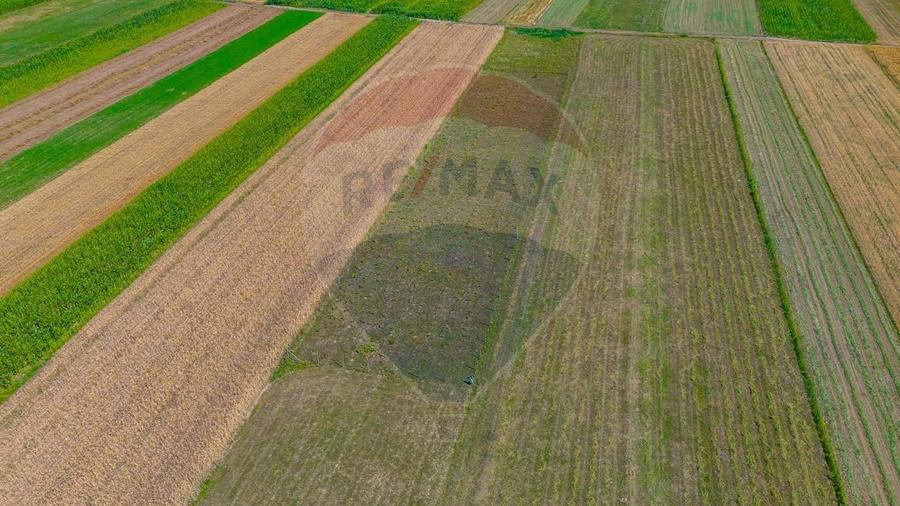 TEREN extravilan- 6 E/MP- CU PLANTATIE DE TRANDAFIRI! Teliu 7000mp