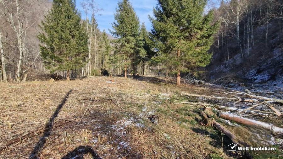 Teren Intravilan de Vânzare – 3279 MP – Coada Lacului Tarnița