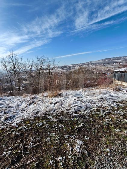 Oportunitate! Teren intravilan, 2300 mp, parcelabil, strada Pomet - 2