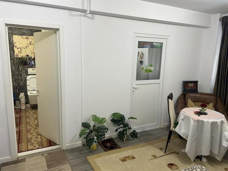 Apartament 1 cameră, Vișan