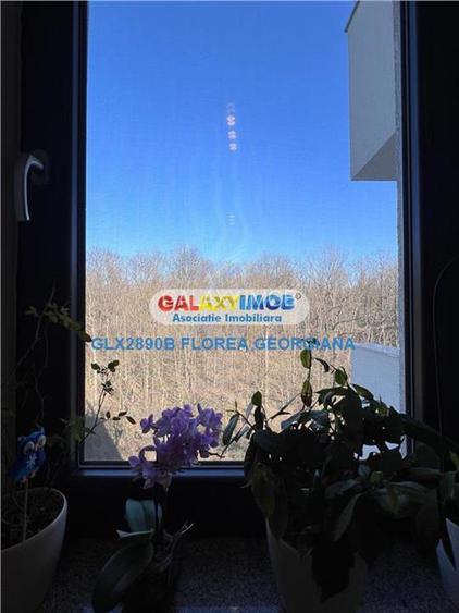 Inchiriere apartament 2 camere pet friendly Greenfield vedere padure - 10