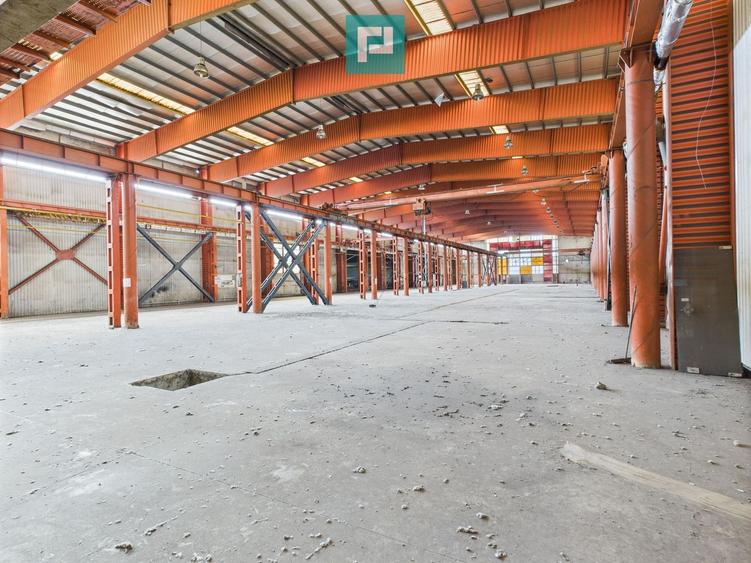Hală industrială cu pod rulant și parcare betonată