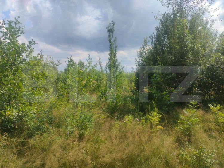 Teren intravilan, 5857 mp, Baltati, Horodnicu de Sus