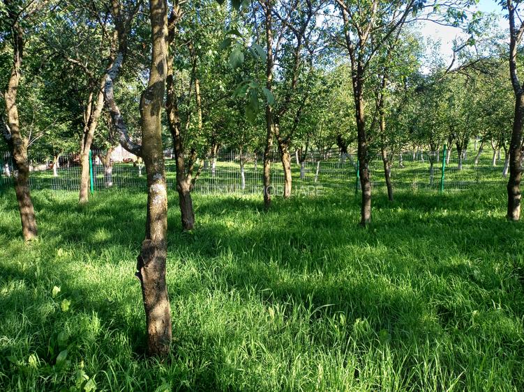 Vânzare casă în comuna Chinteni loc. Vechea - 9