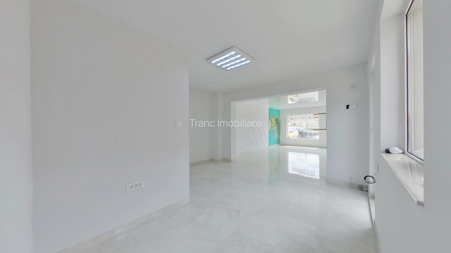 Pensiune cu 10 camere + spațiu comercial inclus pe Calea Radnei - 19