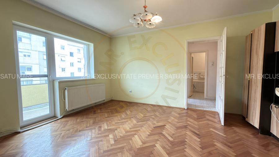 Apartament 2 camere Etaj II, Carei -Zona Varga Quattro-Str. Pavel Zăgănescu Nr.8 - 4
