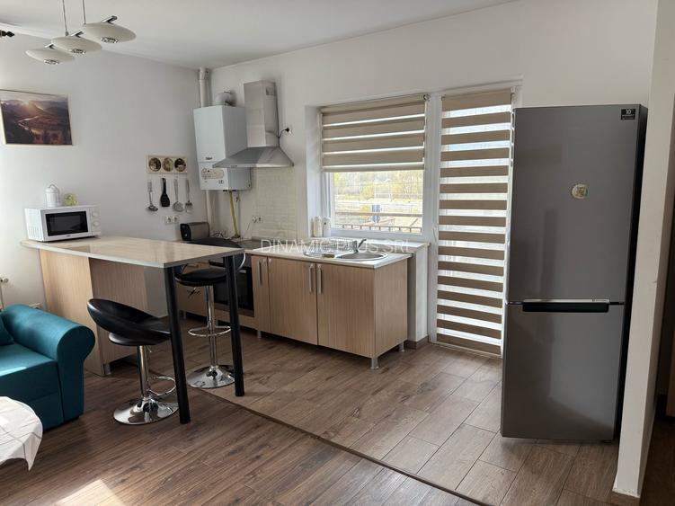 APARTAMENT LUX IN SELIMBAR - 18