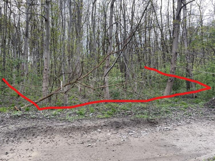 Teren 755 mp, Dem Radulescu, la 7 min de centrul orasului Rm Valcea - 6