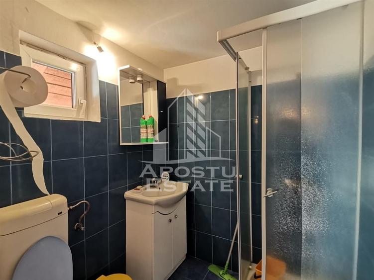 Casa individuala de vanzare, zona Crisan Timisoara