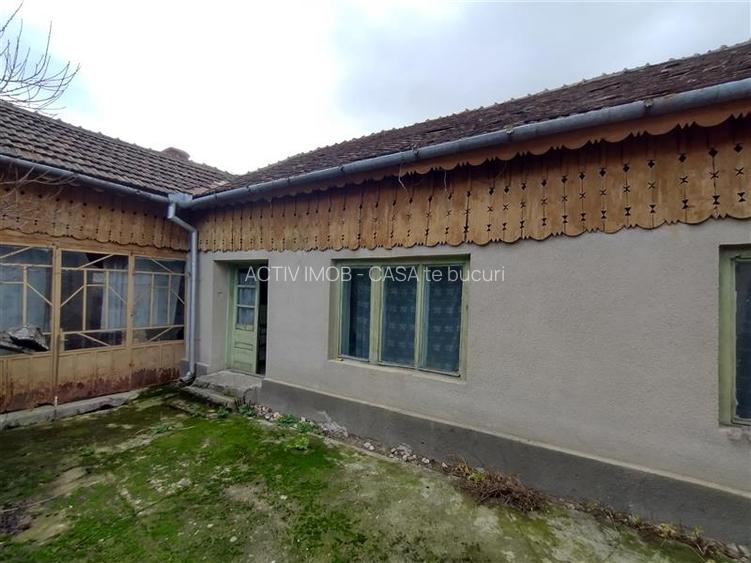Bogodint, Casa cu 4 Hectare Teren, Pret Negociabil - 30