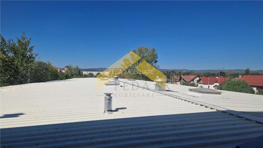 Hala industriala de vanzare in loc. Sfantul Gheorghe, jud. Covasna - 27