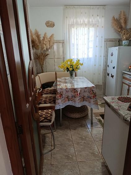 Casă de vânzare în inima Deltei  - 12