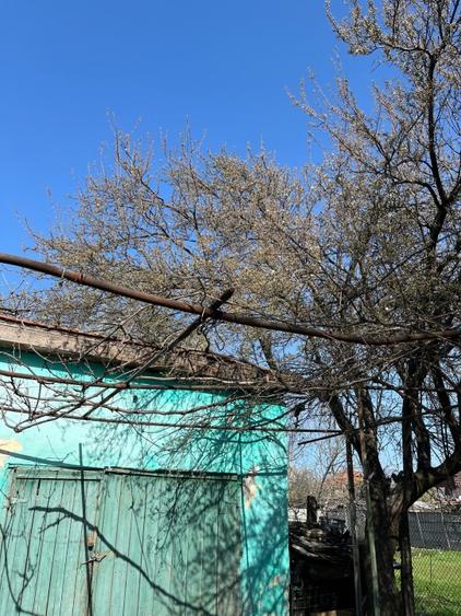 Proprietar, vând teren intravilan 997 mp, MEHALA, str. MOISE DOBOȘAN, preț NEGOC