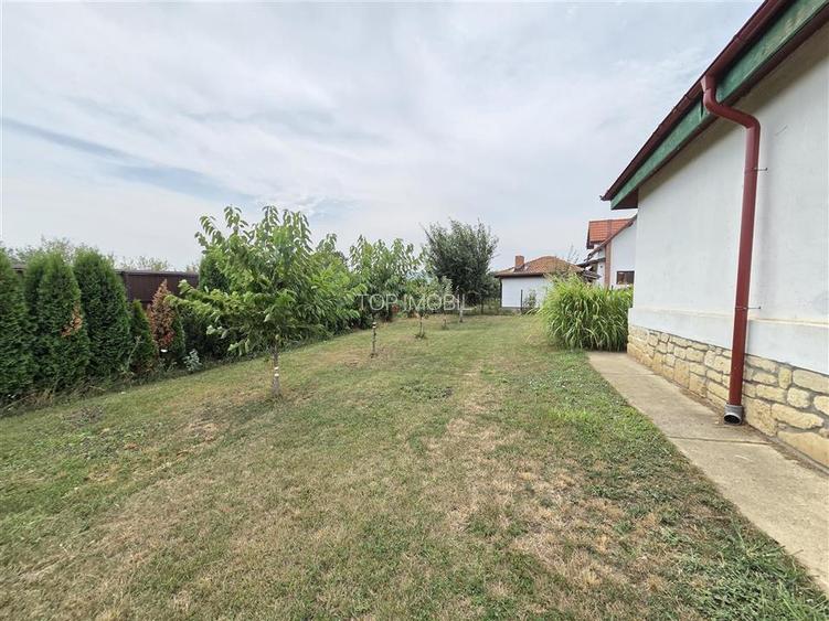 Proprietate Deosebita cu 4600 Mp Teren, 2 Case, Panouri Fotovoltaice si Sera - 30