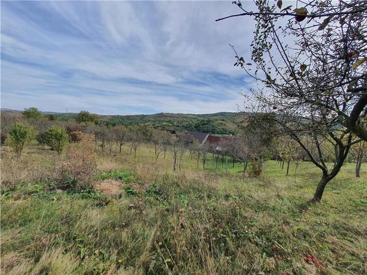 Casă Tradițională Săsească in loc.Aciliu cu 2974mp tere