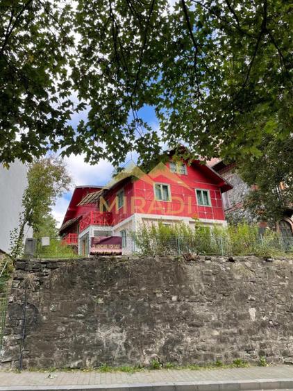 Vanzari Case / Vile SINAIA