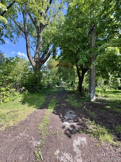 DOMENIU EXCLUSIVIST DE VANZARE – URLATI, PRAHOVA