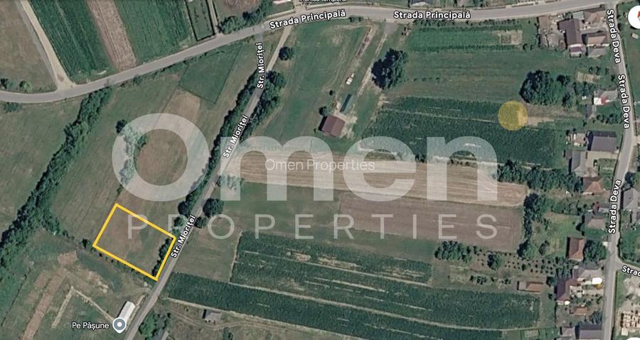 Teren intravilan | Bozanta Mică | 1000 mp | perfect pentru casa | Comision 0% - 3