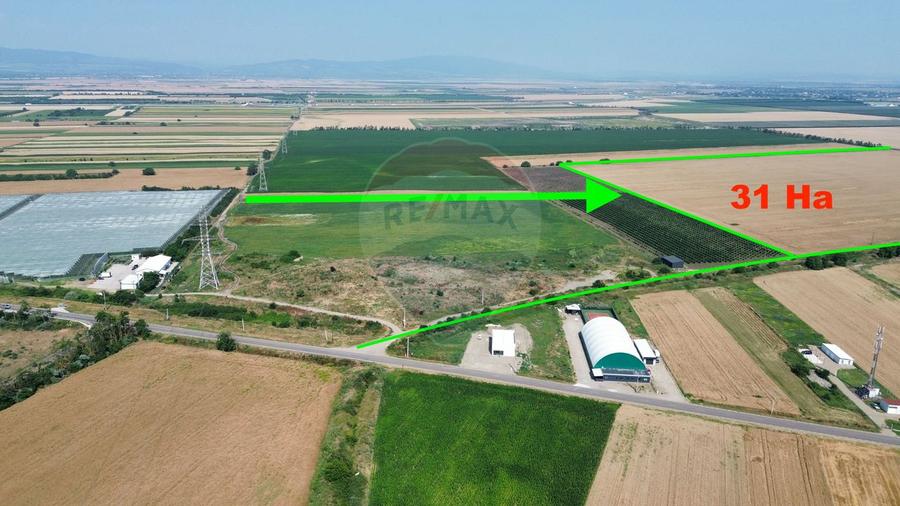 Teren 31HA patrat la drum Vanatori