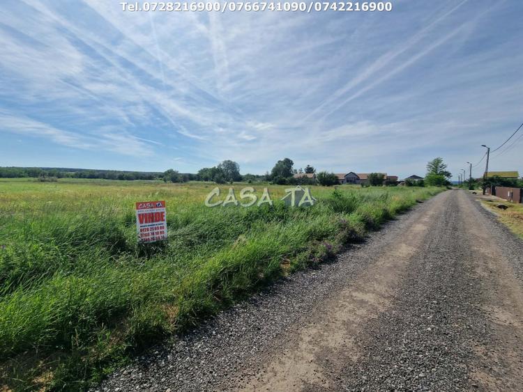 Teren Intravilan (3405 mp), Preajba -Str. Frasinetului