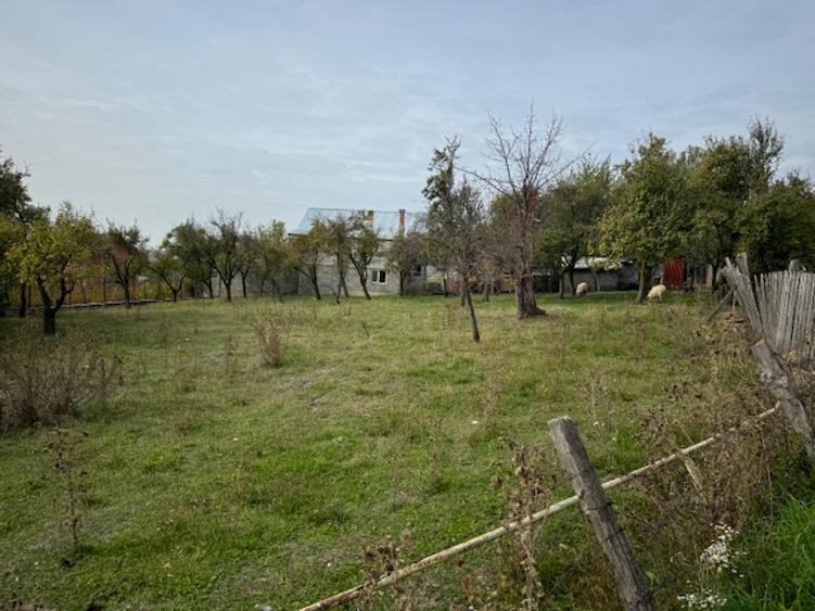 Pitesti-Stefanesti-Crama Stefanesti teren de vanzare Comiaion 0