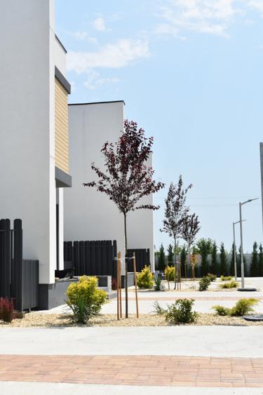 Casă | Vilă 4 camere de vânzare | 224K + TVA | Pompe de Căldură | Tunari