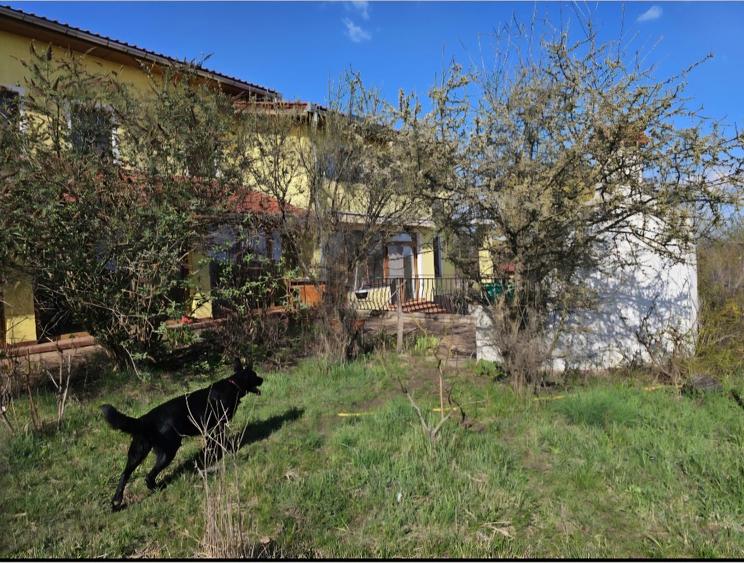 Casa unifamiliala in zona linistita, aproape de oras si autostrada