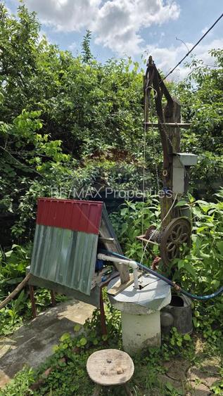 Domeniu rural, gospodarie/multifunctionala cu casa, livada, vie - 31